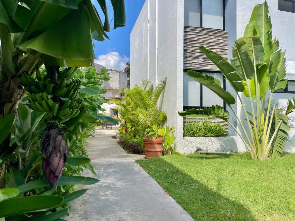 Appartamento Aldeazul By Andiani Travel Cancún Esterno foto
